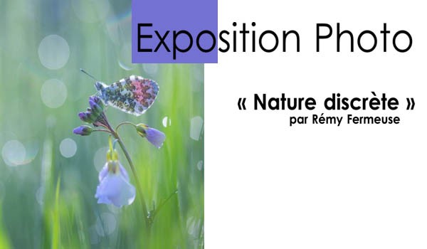 Voyage photographique au cœur de la faune depuis la Résidence-Services Saint-Vincent à Soignies
