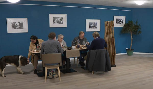 Notre resto "Le Palais des sens" à Uccle dans un reportage de BX1